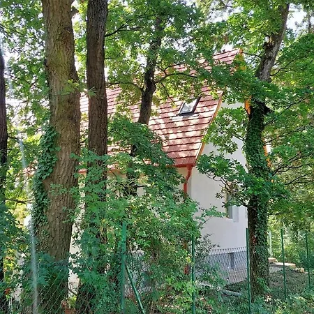 Szepiheno Dom wakacyjny Balatonszepezd