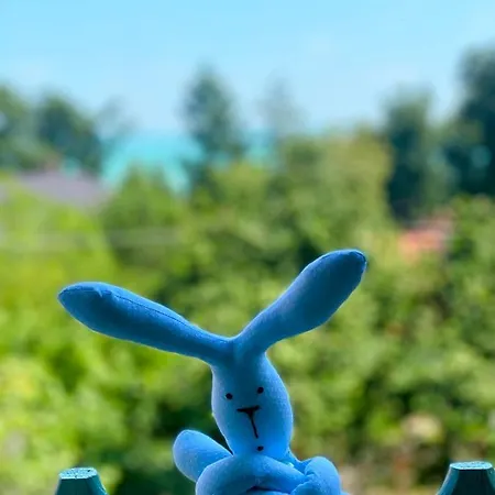 Vakantiehuis Szepiheno Balatonszepezd