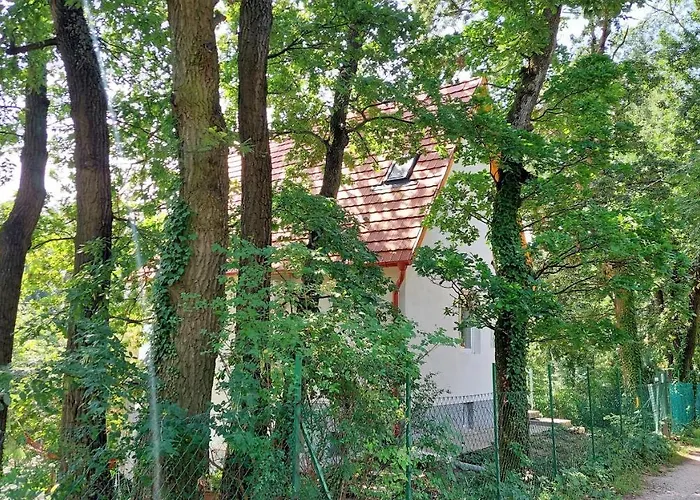 Szepiheno Vakantiehuis Balatonszepezd